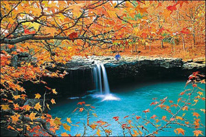 Fall is Here
