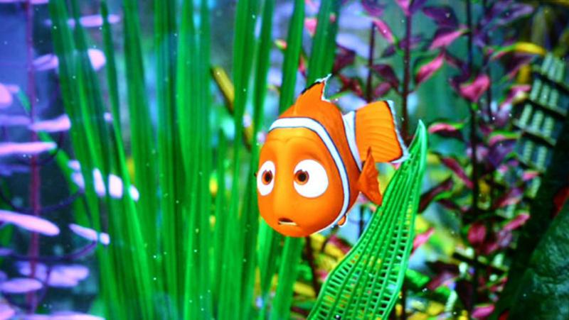 Pixar takes over ABC Familys 25 Days of Christmas