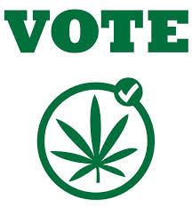 As the health and economic benefits of marijuana are uncovered, voters are beginning to start a movement to legalize it.