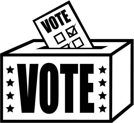 Freshmen had their first elections at high school.
