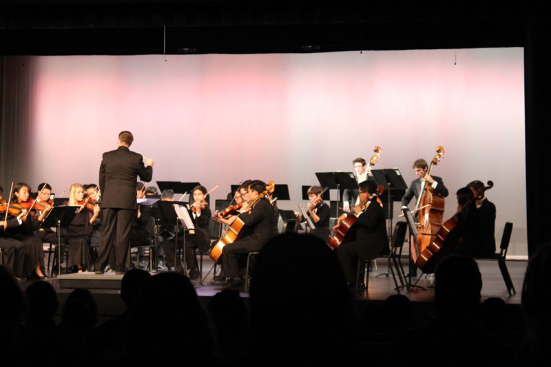 The Chamber Orchestra