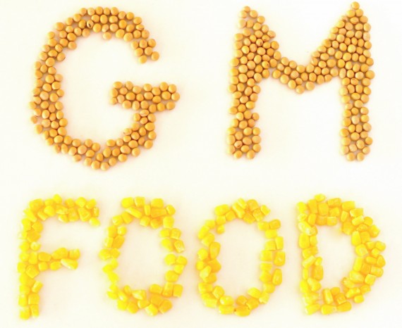 Think twice before you judge GMOs.