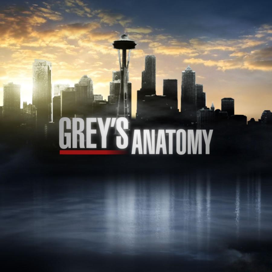 Greys Anatomy TV Review
