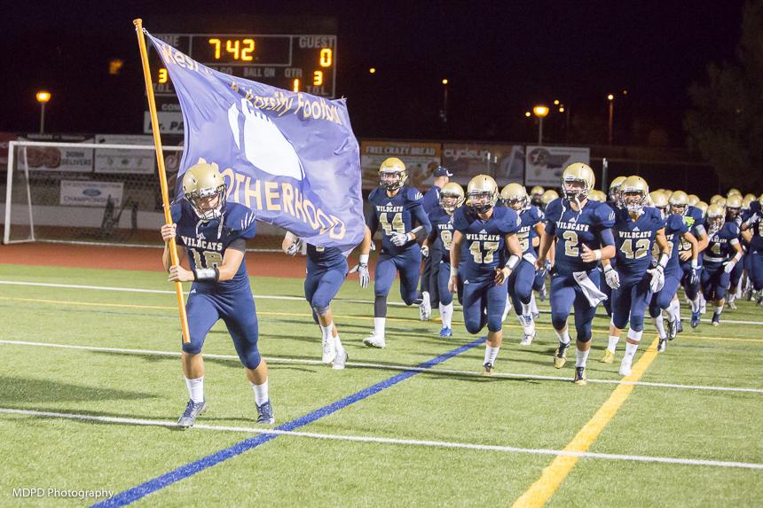 Bounce-Back Season for the Cats
