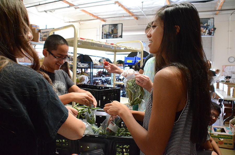 Help the Children volunteers organize green beans into plastic bags.