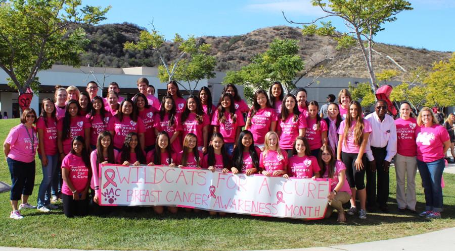 Wildcats for a Cure