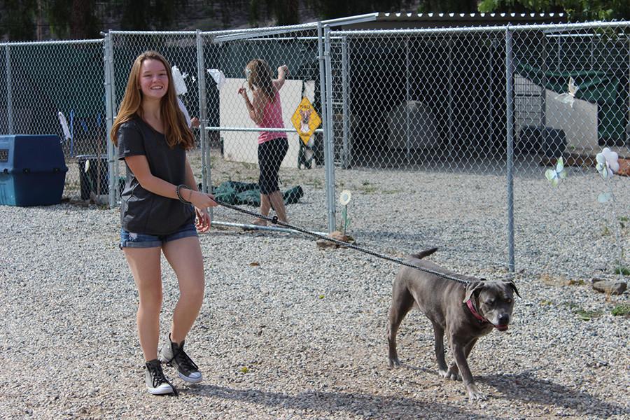 From here, the members split up. Three members stay with the large dogs and take them on long walks and clean their roaming area. 
