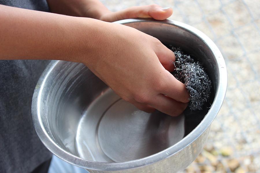 When refilling the water bowls, volunteers must scrub the sides in case of growing algae. 
