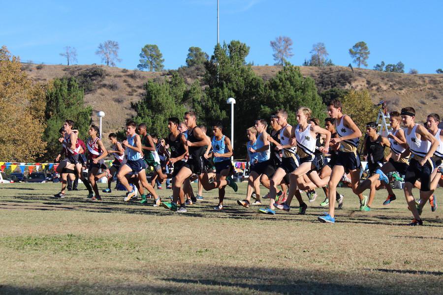 Cross Country Ready to Go the Distance