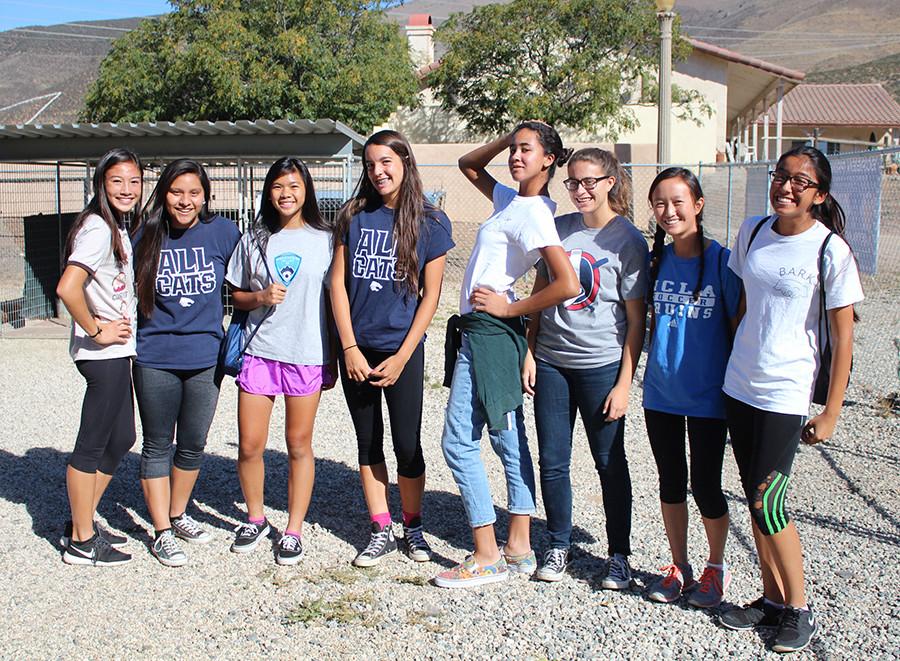 After a successful orientation day at the animal sanctuary, the B.A.R.K. members head back home. The dogs are left joyful and awaiting for their next visit. 
