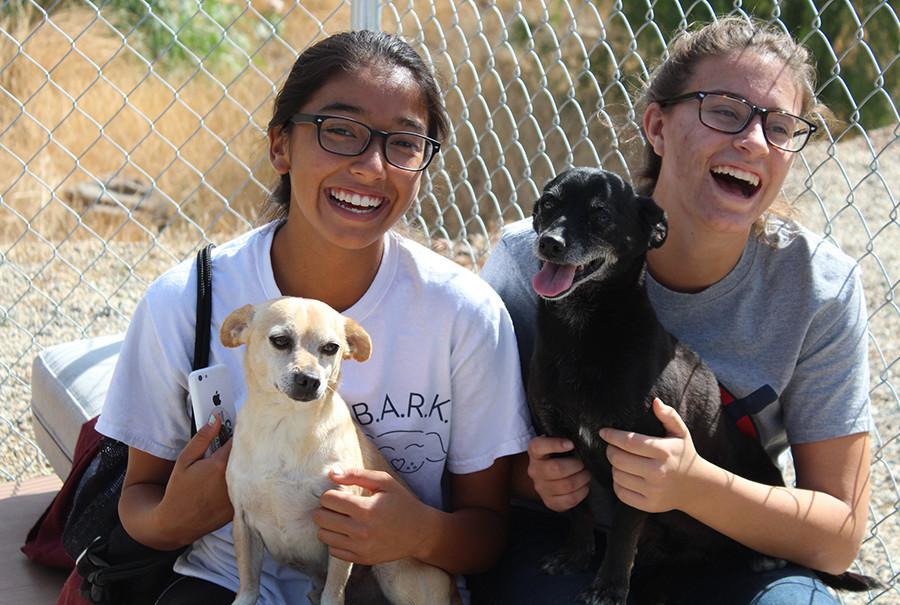 After finishing their tasks, the volunteers spend the rest of their time at the shelter playing with the dogs.
