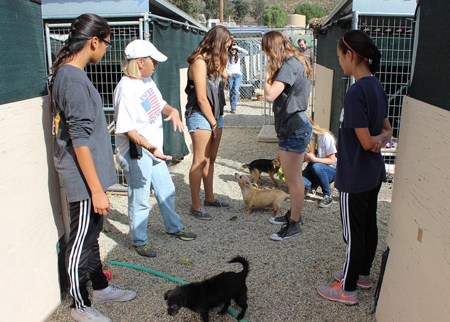  B.A.R.K. (Benefit All Rejected K-9s) is a club on campus designed to help neighboring shelters with fundraisers and volunteering service. The members of West Ranch club, B.A.R.K. are greeted by Nancy Anderson, owner of The Brittany Foundation. She takes the girls on a tour, introduces all the animals, and demonstrates how to properly clean out the kennels. 