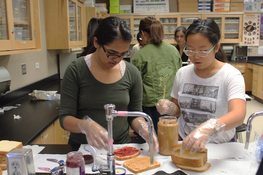 Sidra Mirza (left) and Irene Kim (right) help make sandwiches.
