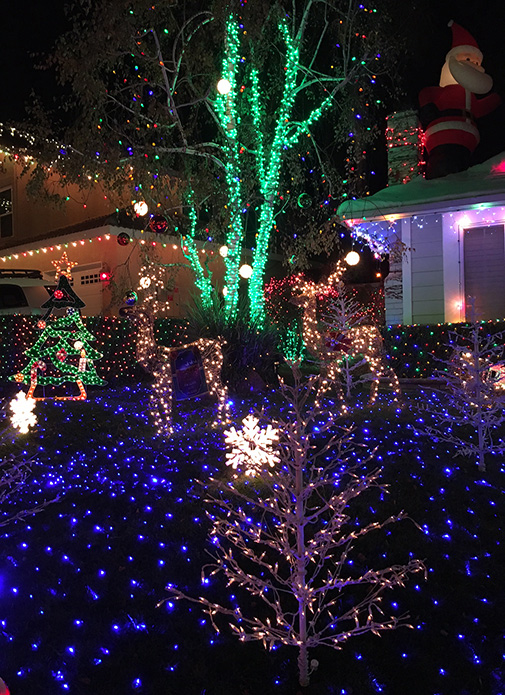 Wakefield Winter Wonderland and LA Zoo Lights