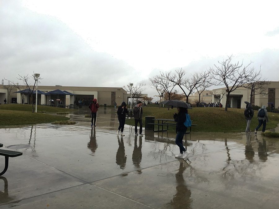 Rain, Rain, Dont Go Away
