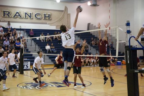 Boys' Volleyball Falls to Alemany