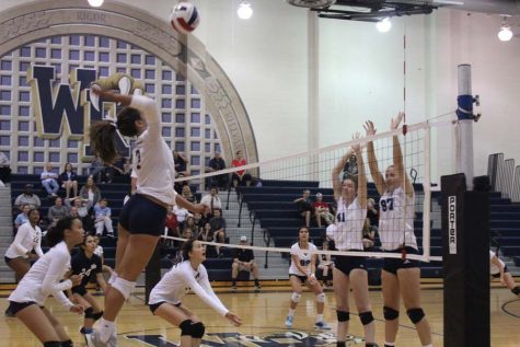 Girls Volleyball Season Preview
