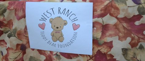The Teddy Bear Foundation
