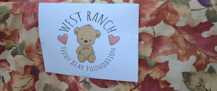 The Teddy Bear Foundation