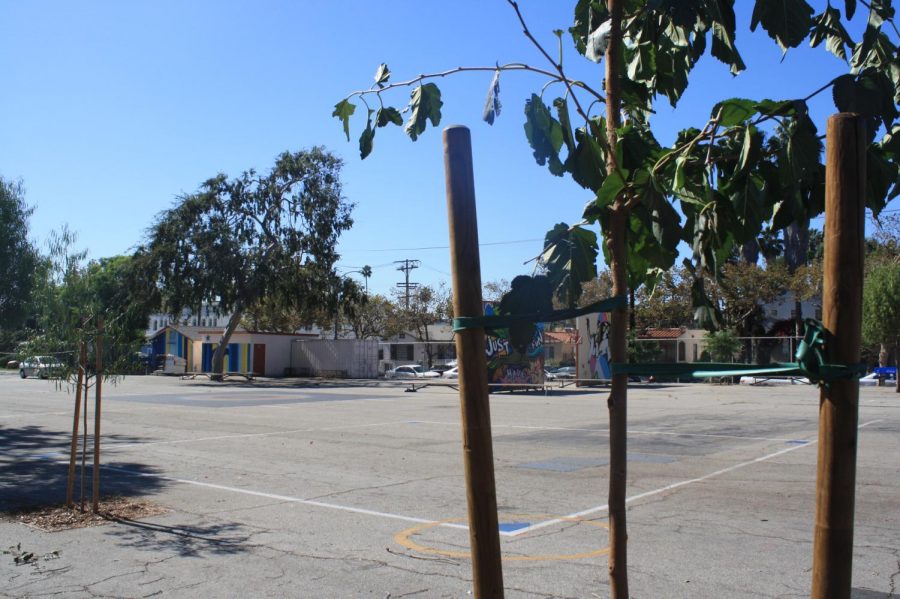 Small Acts of Kindness: Tree People