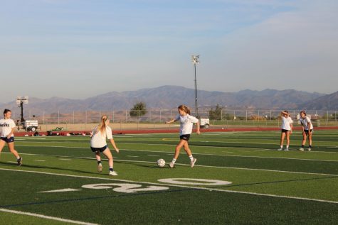 Girls Soccer Season Preview