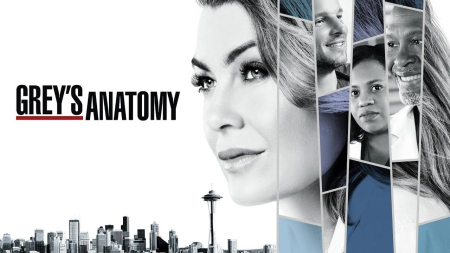 Greys Anatomy Review