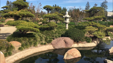 The Japanese Garden