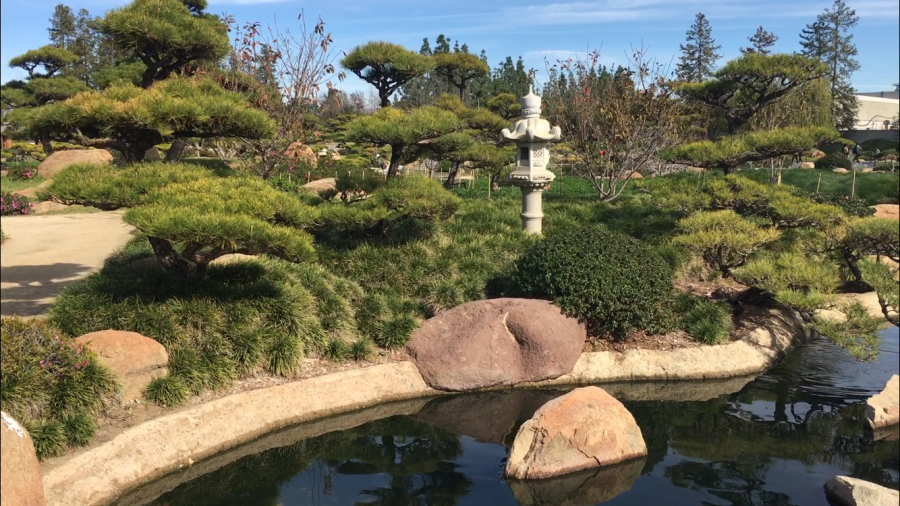 The Japanese Garden