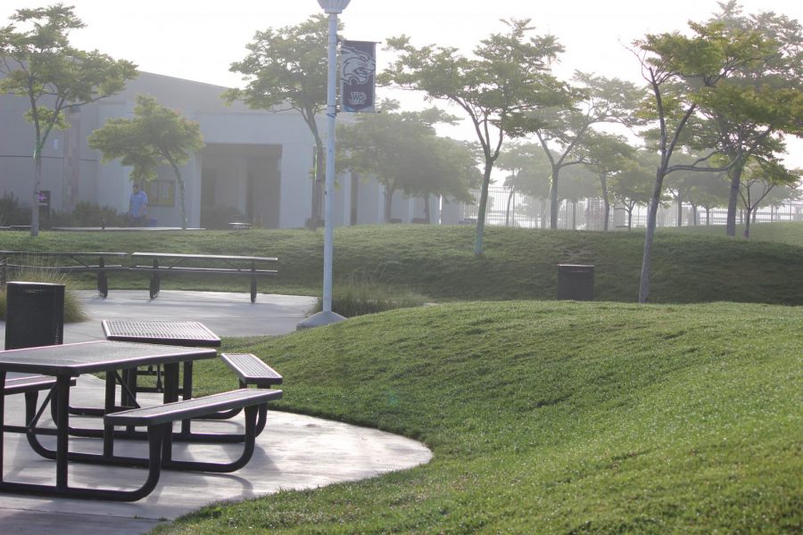 Confessions from the Junior Hill