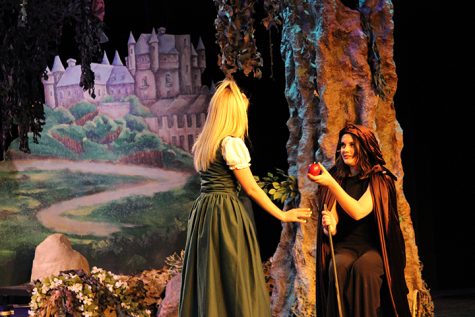Snow White and the Black Forest