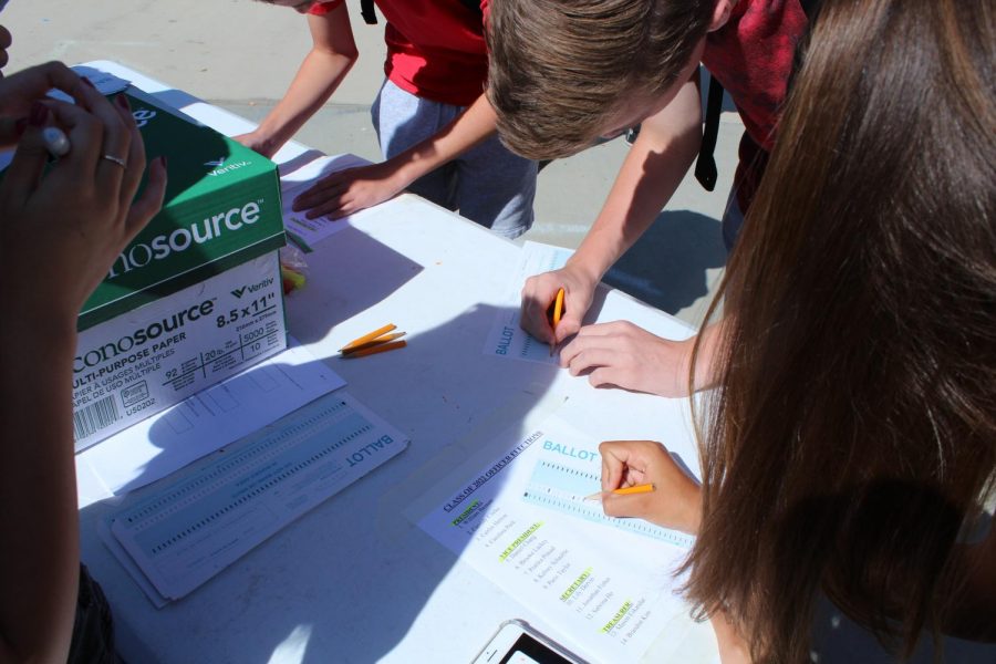 Freshman Class Elections