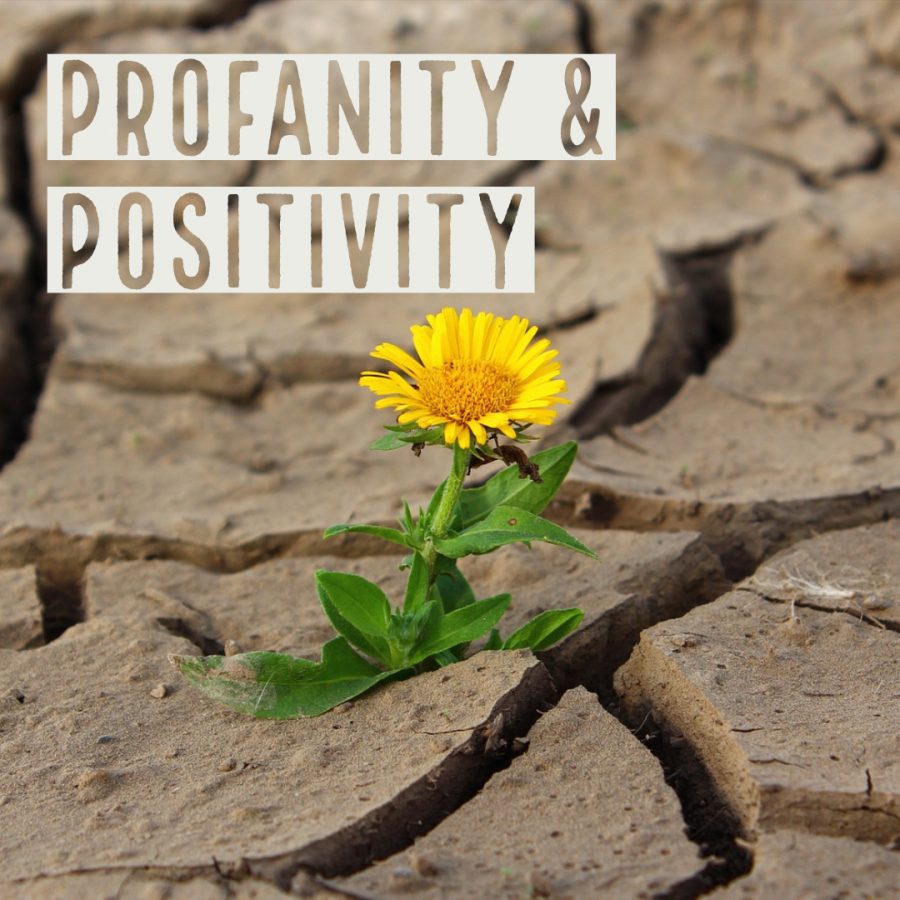 Profanity and Positivity