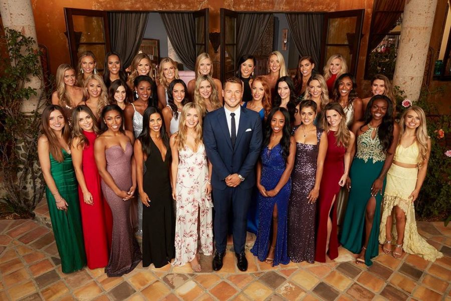 The Bachelor Season 23 Predictions
