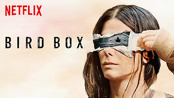 What is bird box about