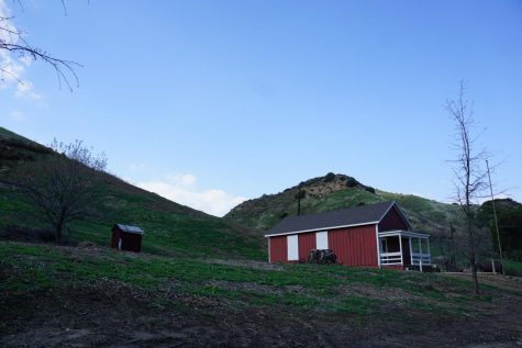 A Santa Clarita Stay-Cation