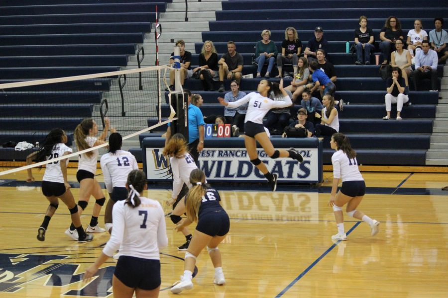 Wildcats Sweep Grizzlies in Second League Game
