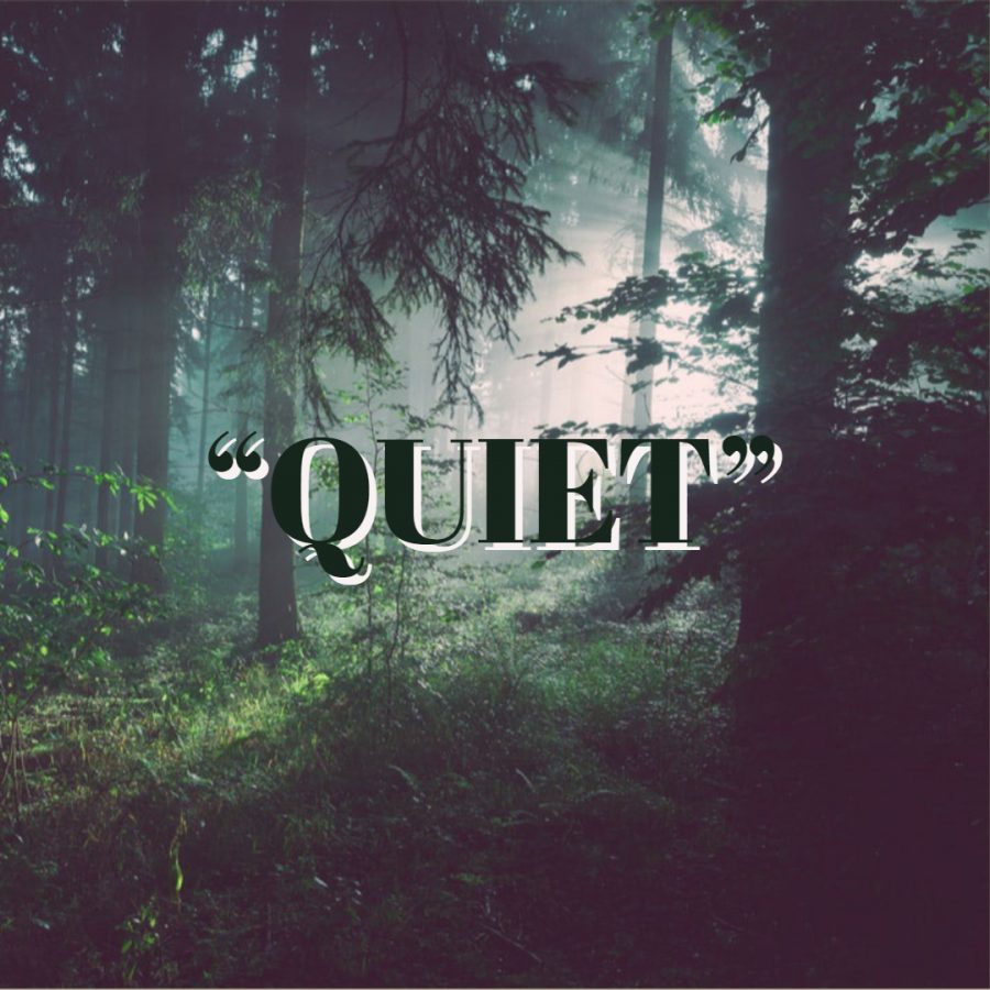 Ten Things Ive Learned Being the Quiet Person