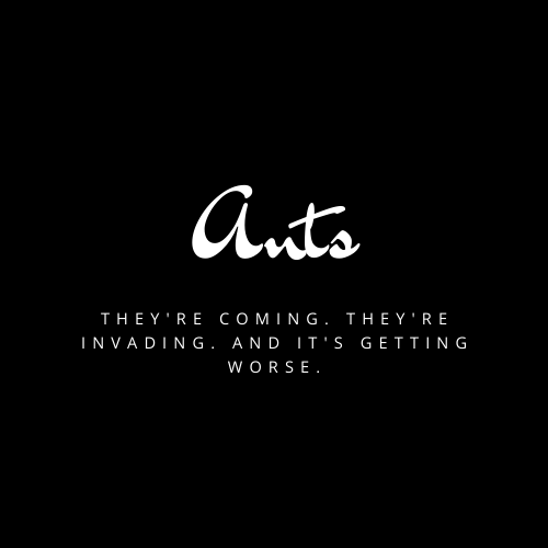 Ants: They’re Coming. They’re Invading. And it’s getting worse. – The ...