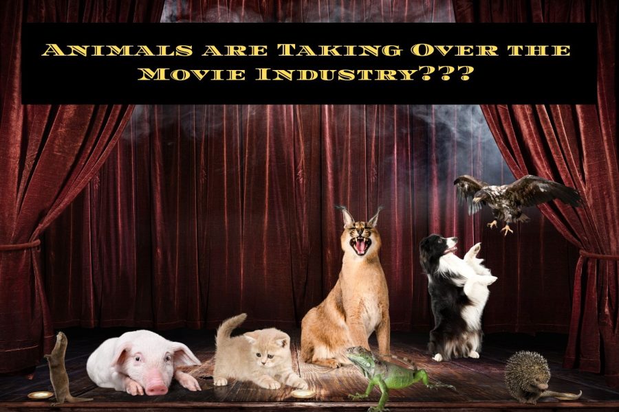 Movie+Mania%3A+Animals+are+taking+over+the+Movie+Industry