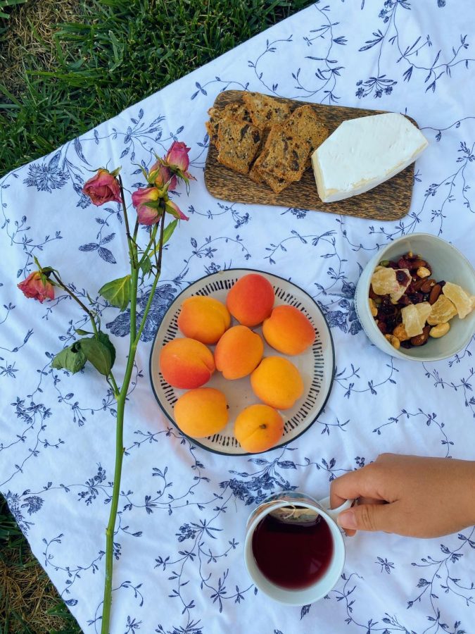 Backyard Tea Party Picnic