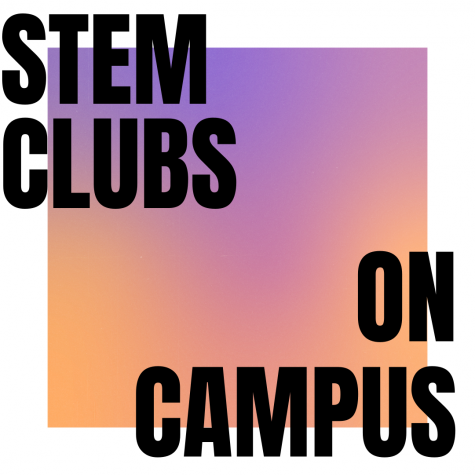 West Ranch STEM clubs pave the way for future innovation