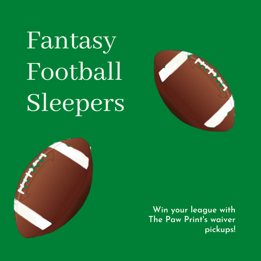 The Paw Print picks 2020 fantasy football sleepers
