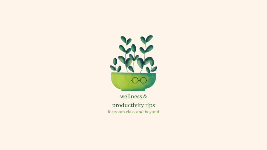 Wellness/Productivity Tips for 2021