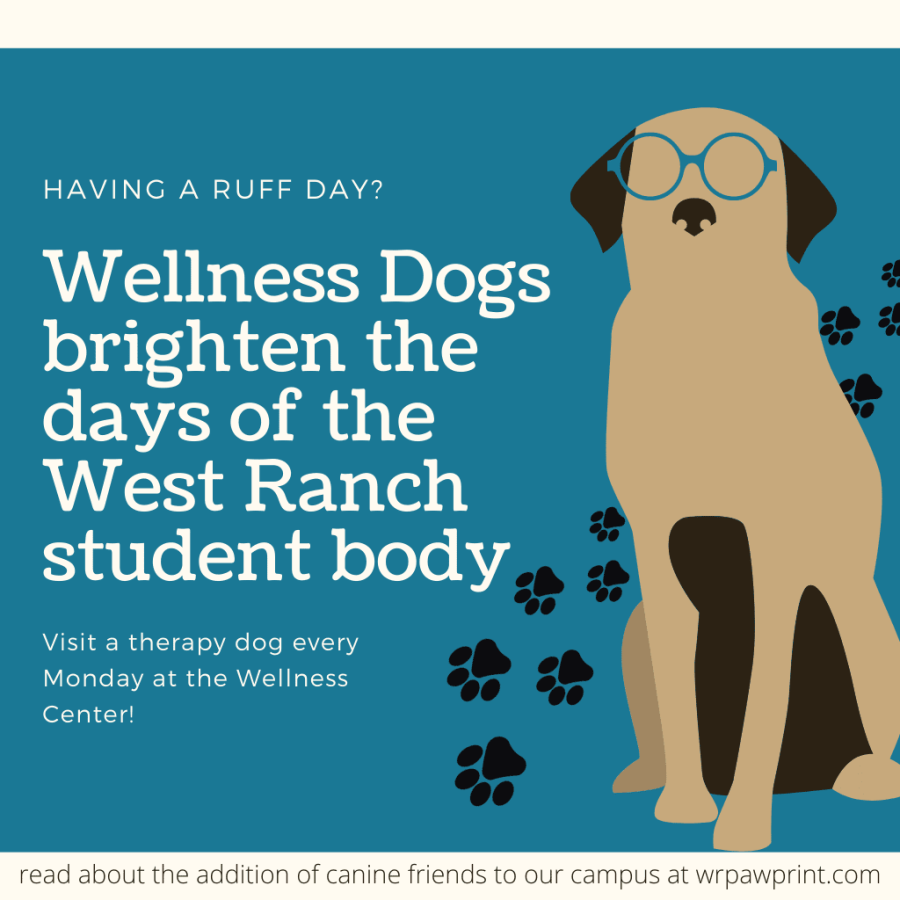 Wellness+Dogs+brighten+the+days+of+the+West+Ranch+student+body