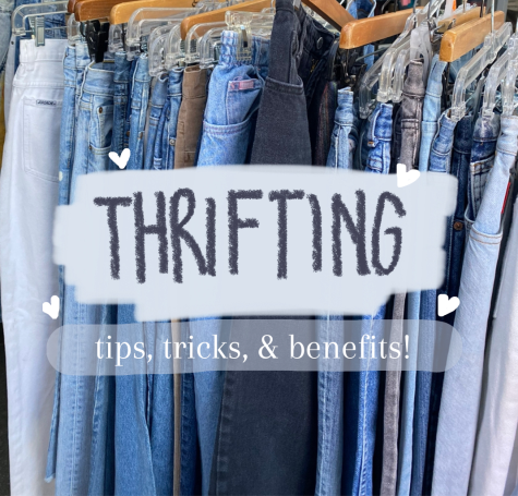 Sustainable Style: Thrifting for an Eco-Friendly Wardrobe