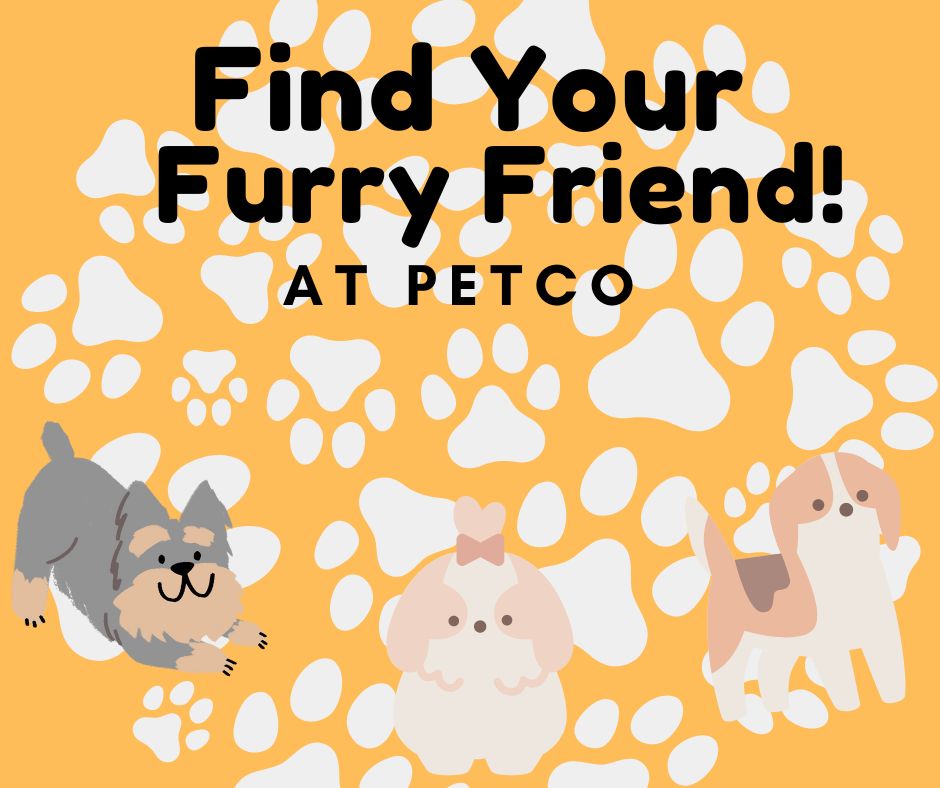 Halfway to Home's weekly dog adoption held at Petco in Saugus