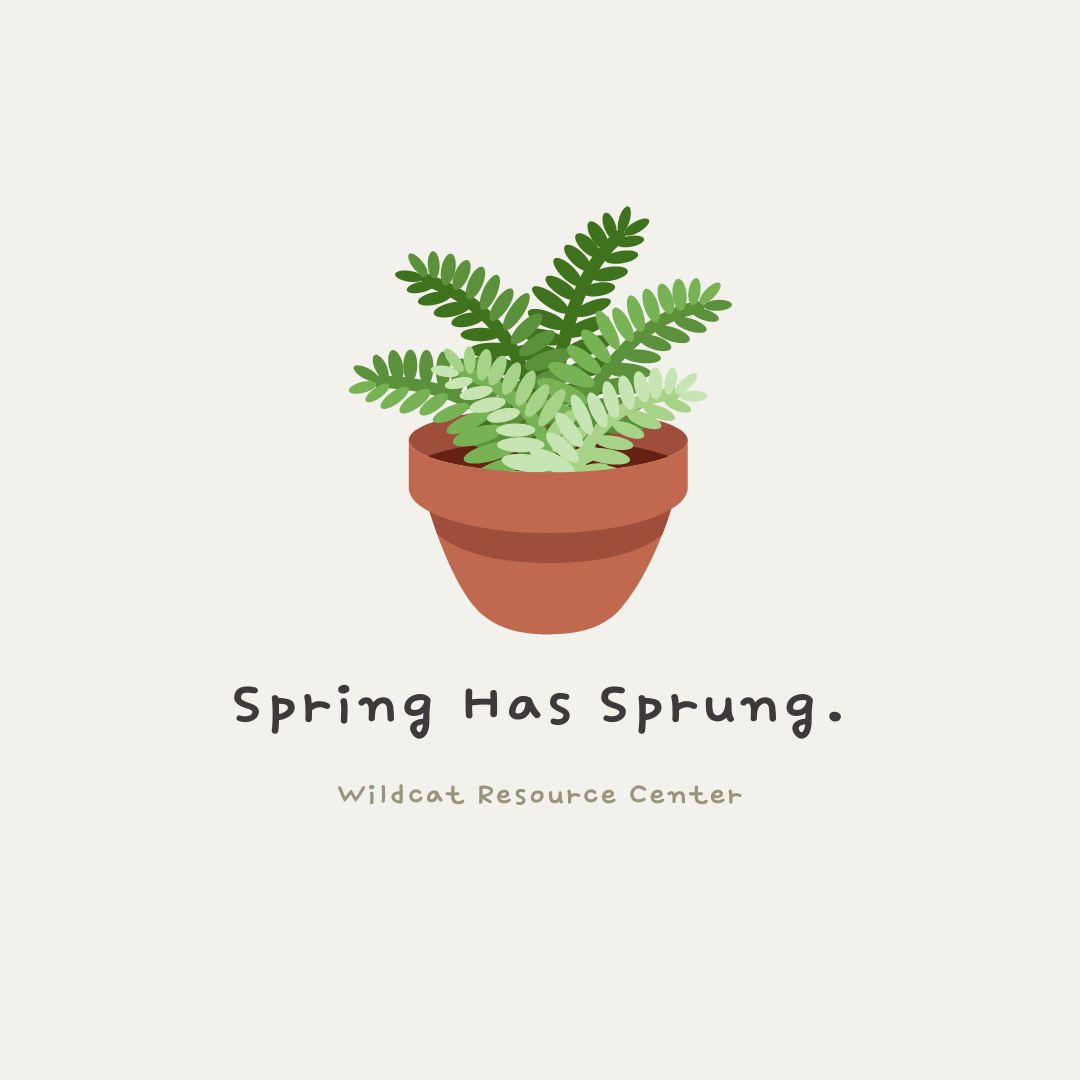 Spring Has Sprung